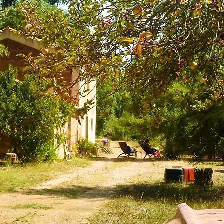 Casas Da Cerca Ξενοδοχείο Zambujeira do Mar Εξωτερικό φωτογραφία