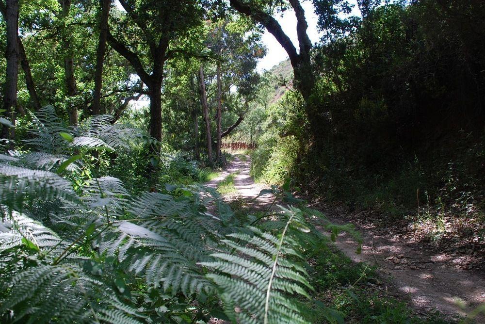 Casas Da Cerca Ξενοδοχείο Zambujeira do Mar Εξωτερικό φωτογραφία